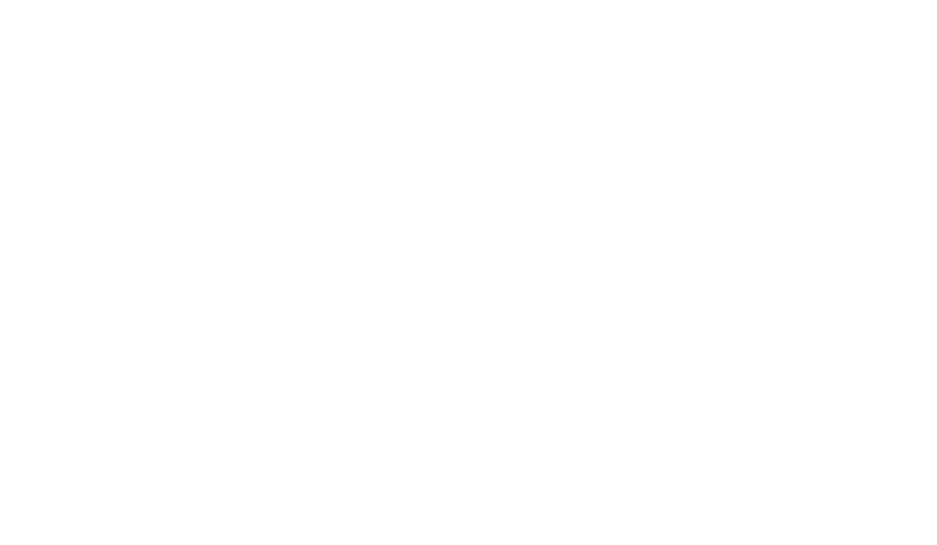 HOOGTESTAGE LES COCHES logo